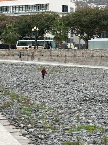 Un petit garçon court sur une plage de galets IMG_1475