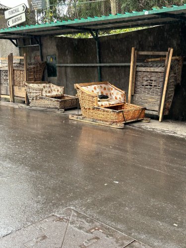 Un traîneau en osier attendant de nouveaux clients IMG_1465