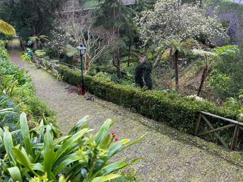 Une allée descendant vers un petit parc IMG_1467